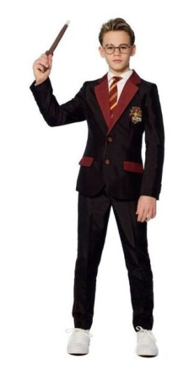 Suitmeister Harry Potter
