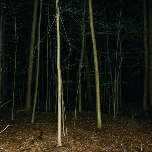 Express Rising Fixed Rope II CD