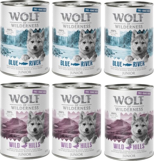 Wolf Of Wilderness Våtfôr Junior Blandet Pakke 24 X 400 G