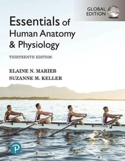 Essentials Of Human Anatomy & Physiology, Global Edition Av Elaine Marieb, Suzanne Keller
