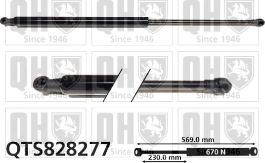 QUINTON HAZELL QTS828277 Baklukedemper