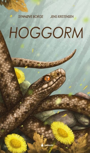 Hoggorm Hoggorm