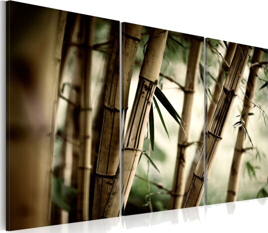 Bilde In A Tropical Forest 120x80 Artgeist sp. z o. o.