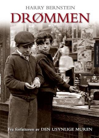 Drømmen en roman