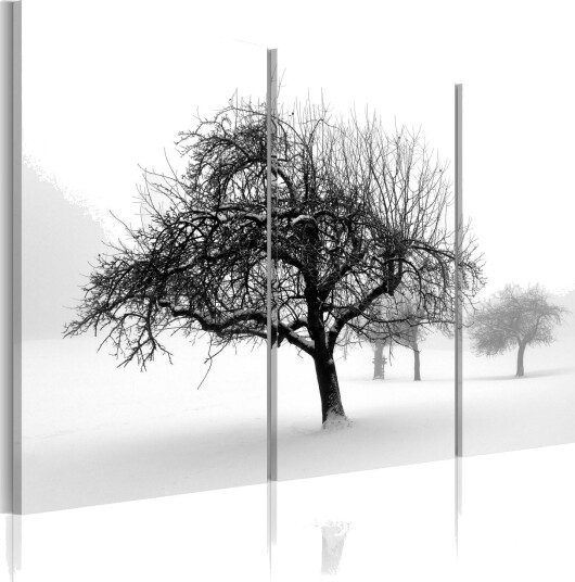 Bilde Trees Submerged In White 120x80 Artgeist sp. z o. o.