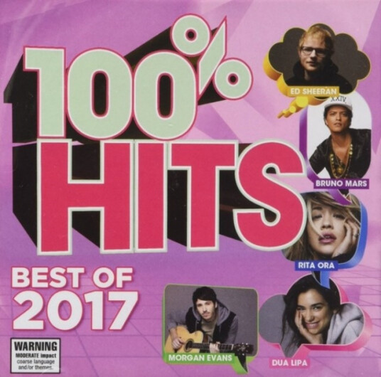 Diverse Artister  100% Hits  Best Of 2017  CD