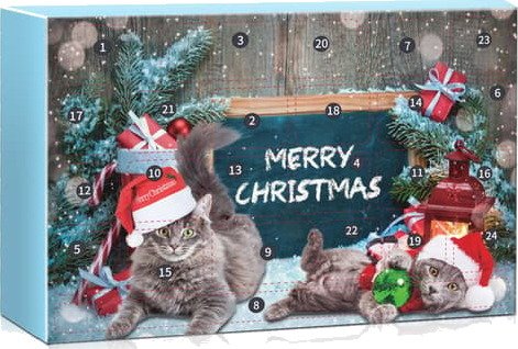 Julekalender 2026 for Katt 24 stk Katteleker Adventskalender med 24 Dager Overraskelser Julenedtelling og Overraskelsesboks