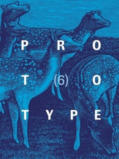 PROTOTYPE 6 PROTOTYPE 6