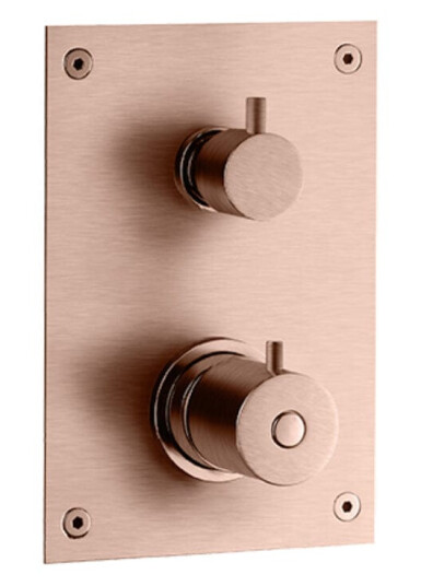 Tapwell Box268/368 ED2 Frontpanel Oksiderende Kobber (TA-9421808)