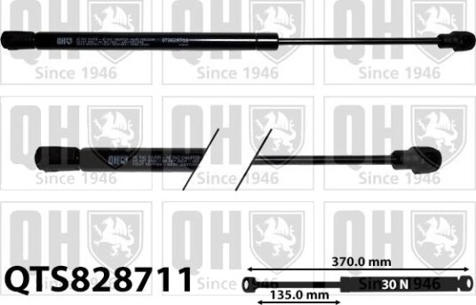QUINTON HAZELL QTS828711 Baklukedemper