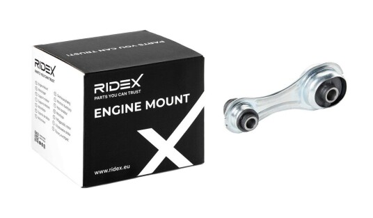 Motorfeste RIDEX 247E0961
