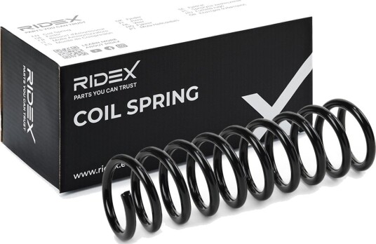 RIDEX 188C1300 Fjær