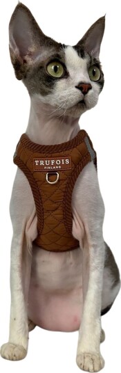 Trufois Step In Sele Katt Hund Brun Trufois Step In Sele Katt Hund Brun