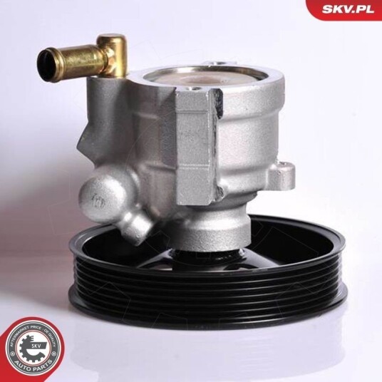 Servopumpe ESEN SKV 10SKV083