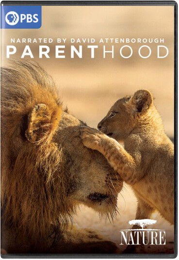 Nature: Parenthood Sesong 1 DVD