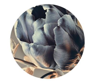 Malerifabrikken Bilde Baroque 3 1588980-01-40