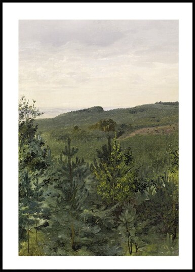 Spruce Saplings in Sandy Soil Study By Werner Holmberg Plakat Plakat / 50x70cm