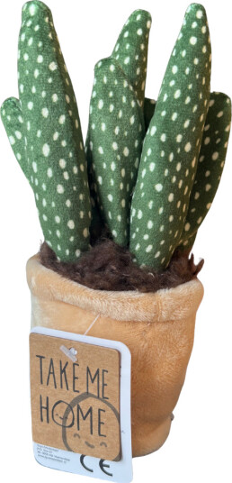 Plysjplante i potte 12–17 cm – 3 varianter kaktus/sukkulent | Take Me Home Plysjplante i potte 12–17 cm – 3 varianter kaktus/sukkulent | Take Me Home