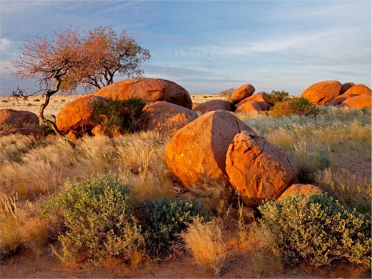 Fototapet Afrikansk Landskap Namibia 300x231 - Artgeist sp. z o. o.