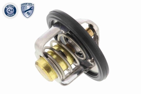 Termostat ACKOJA A64 99 0002