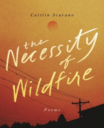 The Necessity Of Wildfire Av Caitlin Scarano