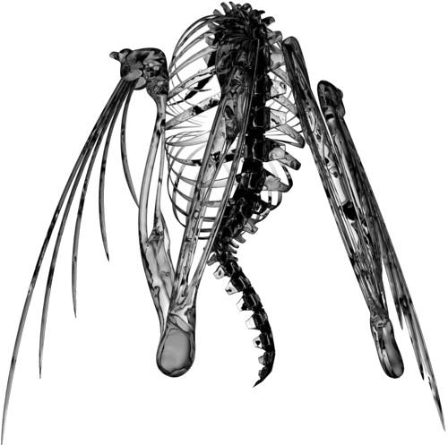 Lotic Heterocetera LP/Vinyl Lotic Heterocetera LP/Vinyl