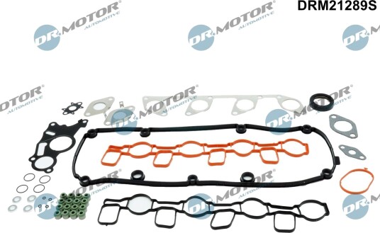 Tetnings helsett motor DR.MOTOR AUTOMOTIVE DRM21289S