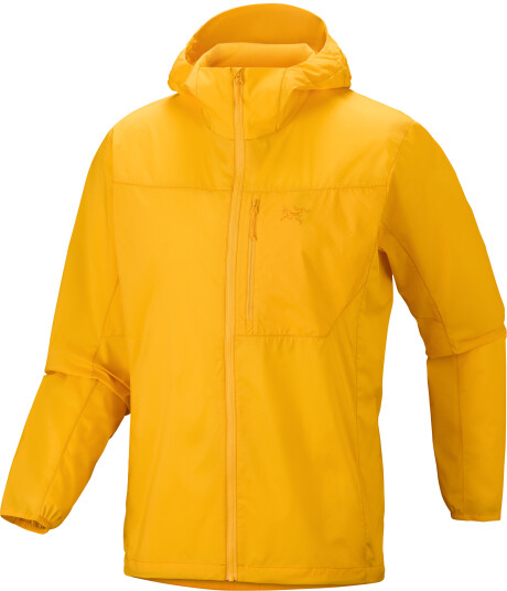 Arc"teryx Men"s Squamish Hoody Larch S