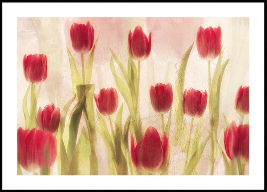 Happy tulips Plakat Plakat / 100x150cm