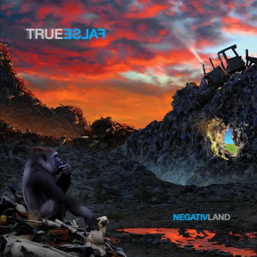 True False CD