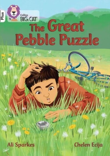 The Great Pebble Puzzle Av Ali Sparkes