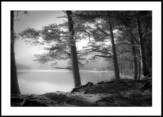 Loch an Eilein Plakat / 30x40cm Loch an Eilein Plakat / 30x40cm