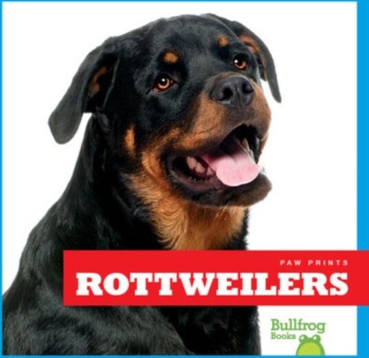 Rottweilers Rottweilers