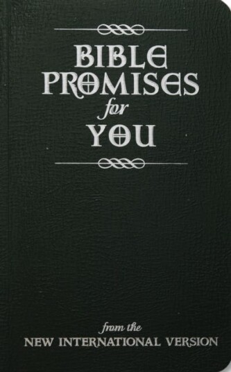 Bible Promises for You from the New International Version