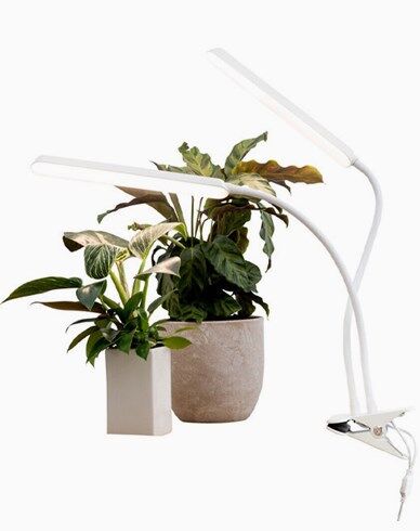 AIRAM Tulip Plantebelysning 16W 780lm Dim med touch AIRAM Tulip Plantebelysning 16W 780lm Dim med touch