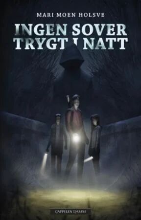 Ingen Sover Trygt I Natt Av Mari Moen Holsve