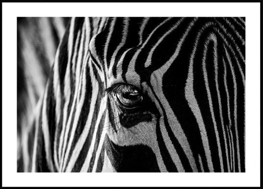 Abstract Zebra Poster Plakat / 40x50cm Abstract Zebra Poster Plakat / 40x50cm