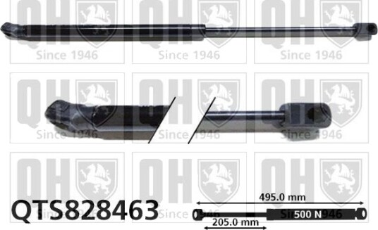 QUINTON HAZELL QTS828463 Baklukedemper