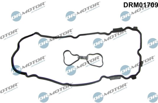Tetning, topplokkdeksel DR.MOTOR AUTOMOTIVE DRM01709