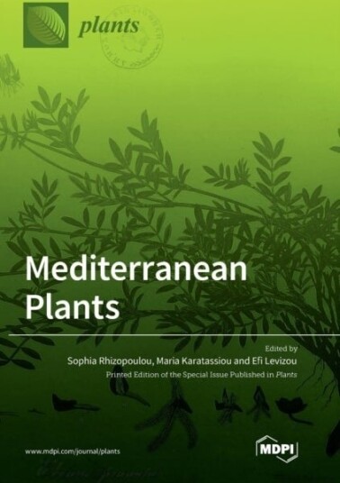 Mediterranean Plants
