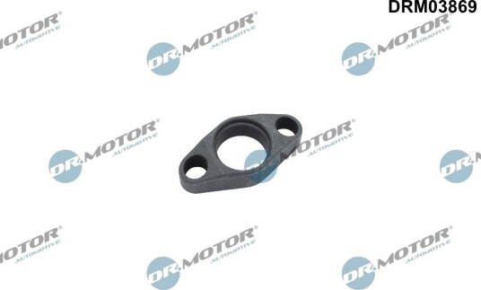 Holder, innsprøytningsdyse DR.MOTOR AUTOMOTIVE DRM03869