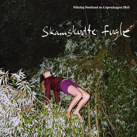 Nikolaj Nørlund, Copenhagen Phil  Skamskudte Fugle  LP/Vinyl