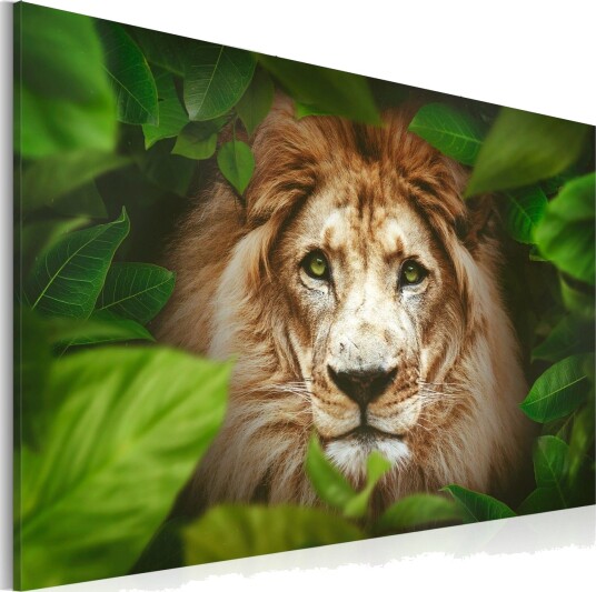 Bilde Eyes Of The Jungle 90x60 Artgeist sp. z o. o.