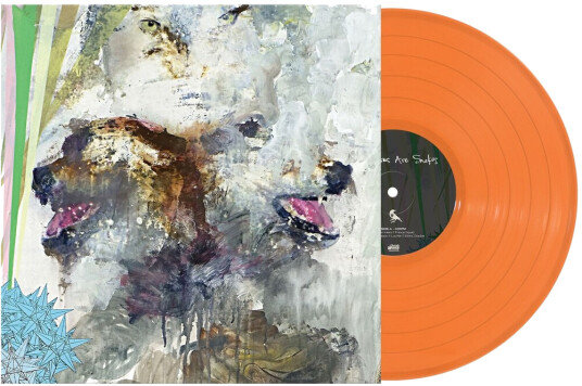 Tail Swallower & Dove Orange