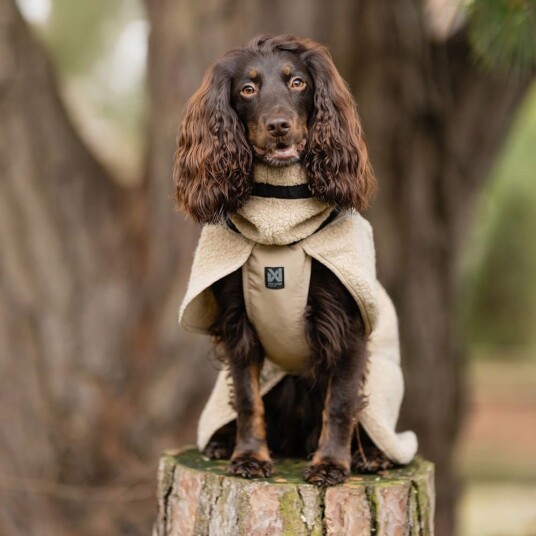 Non-Stop Dogwear Wool Dekken Merinoull Beige (36)