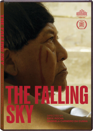 The Falling Sky (2024) DVD