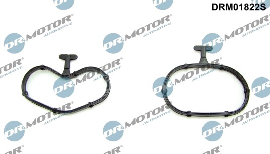 Tetningssett, oljekjøler DR.MOTOR AUTOMOTIVE DRM01822S