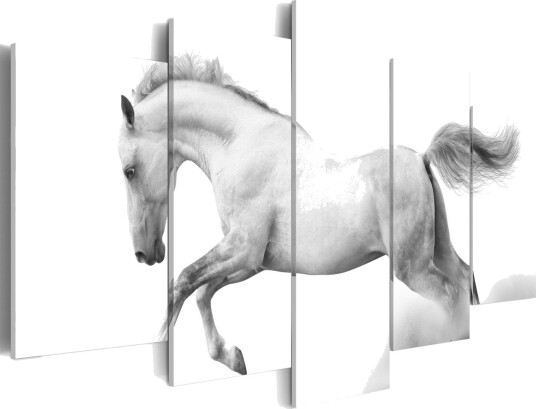 Bilde HorsePassion And Freedom 100x50 Artgeist sp. z o. o.