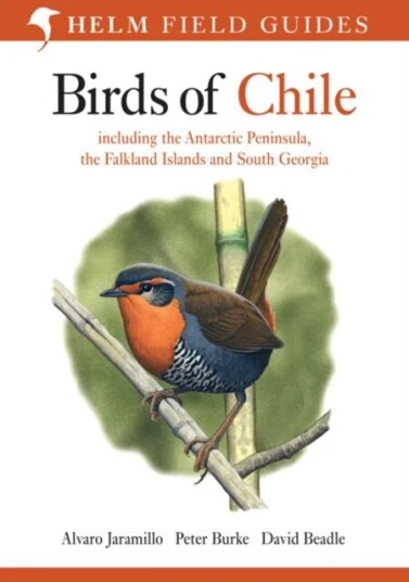 Birds Of Chile Av Alvaro Jaramillo