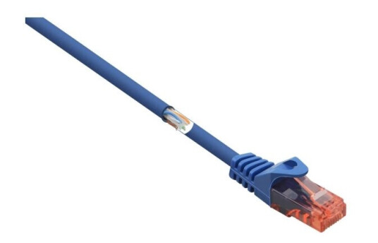Renkforce Rj45 Netværkskabel Patchkabel Cat 6 U/Utp 3.00 M Blå Med Låsebeskyttelse Halogenfri 1 Stk